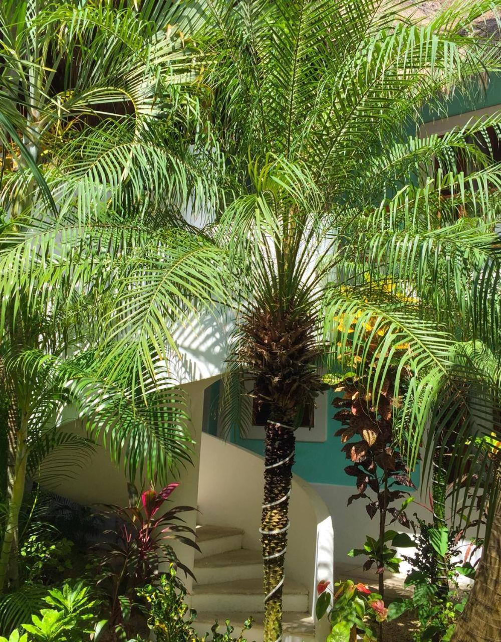 Toto Blue Hotel Boutique Bacalar Exterior photo